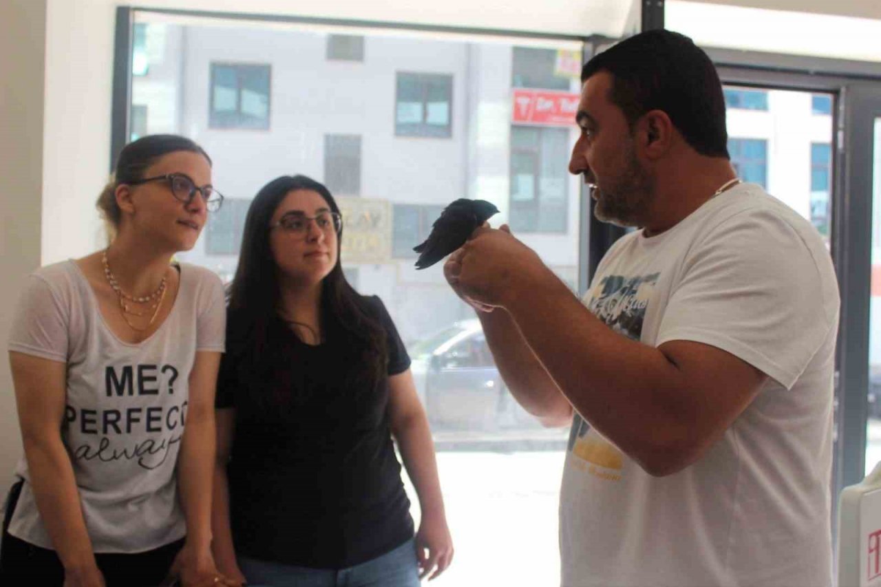 Gazetecilerden Ebabil kuşuna şefkat eli