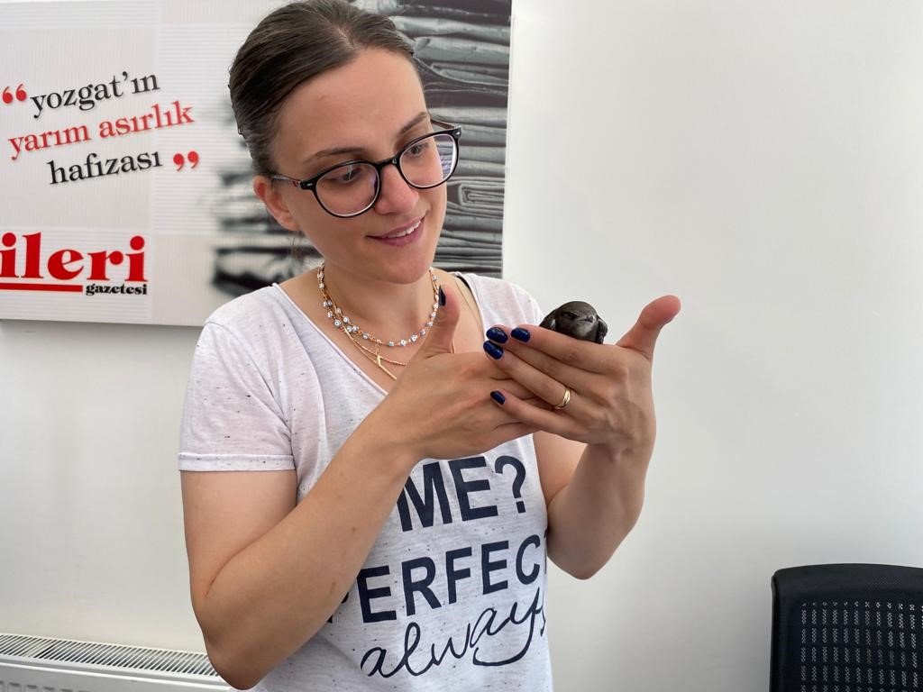 Gazetecilerden Ebabil kuşuna şefkat eli