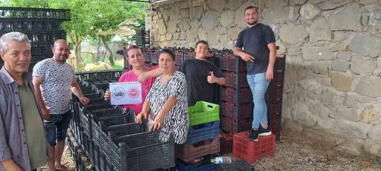 Coğrafi işaret alan Pazarlar kirazı denetlendi