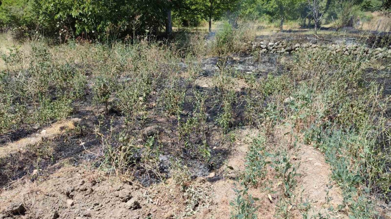 Örtü yangının büyümesini köylüler önledi