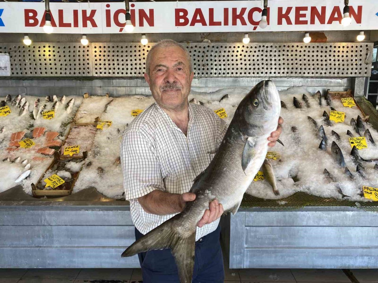 Sıcak havalarda balıklar tezgahta buzla korunuyor
