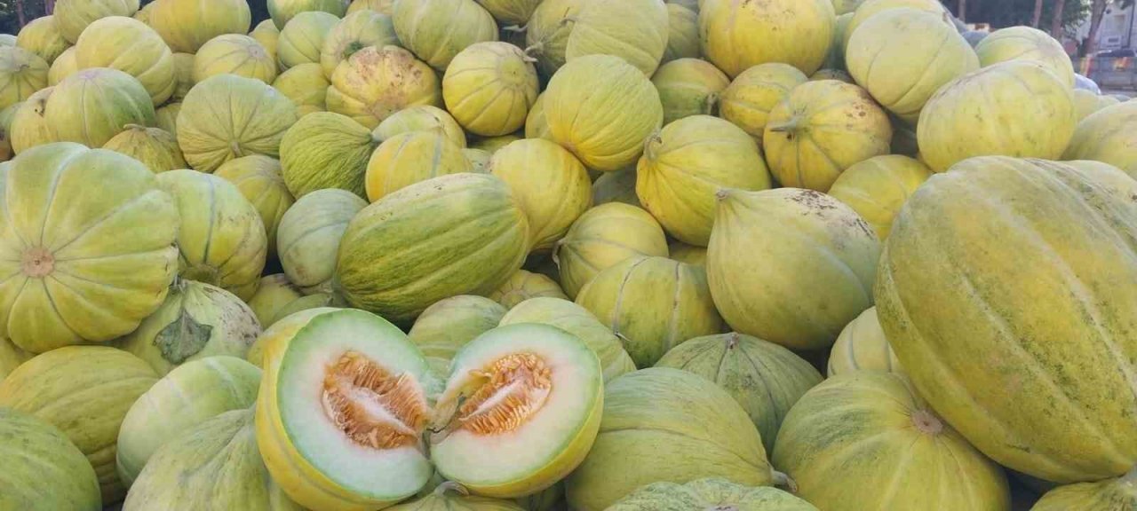 Çorum’un meşhur ’10 dilim kavunu’ tezgahlarda yerini aldı