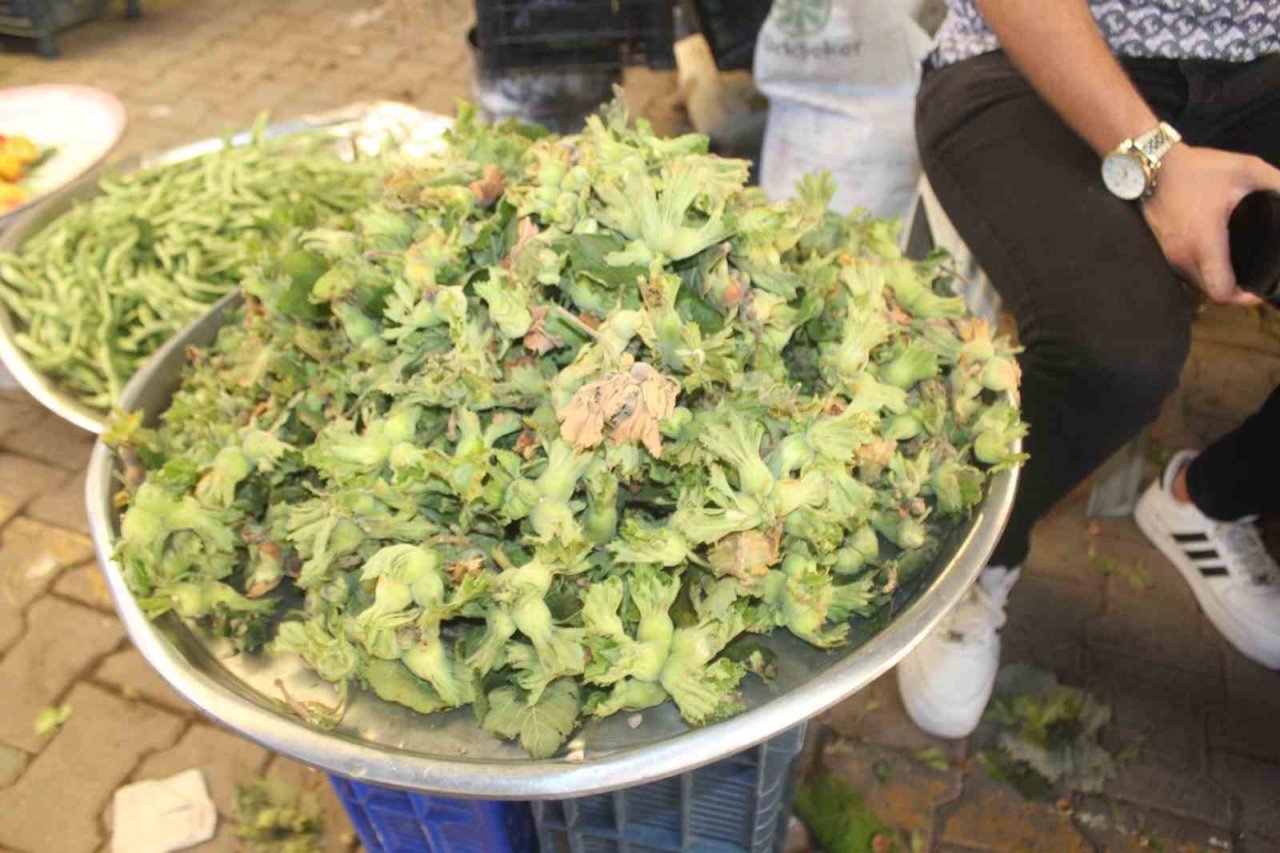 Toplanan taze fındıklar semt pazarlarındaki tezgahlarda yerini almaya başladı