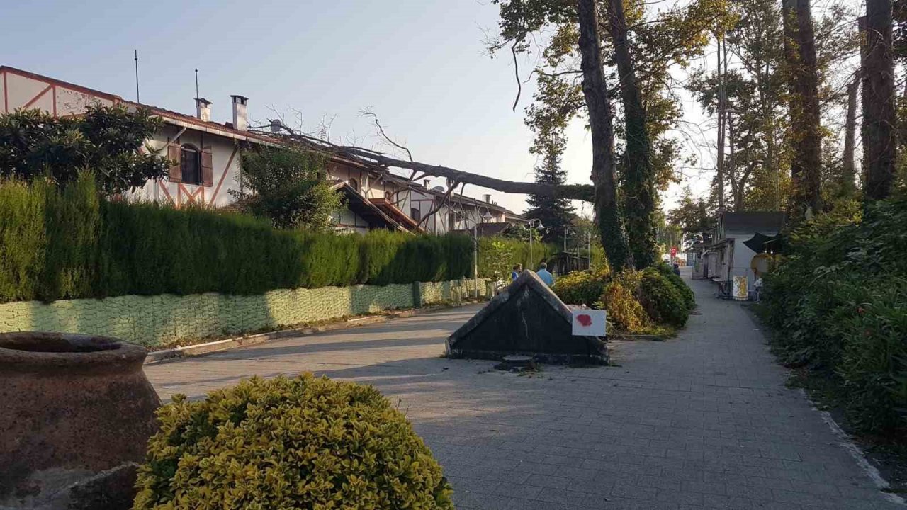 Asırlık çınar ağacı villanın üzerine devrildi, ev sahibi deprem oluyor sandı