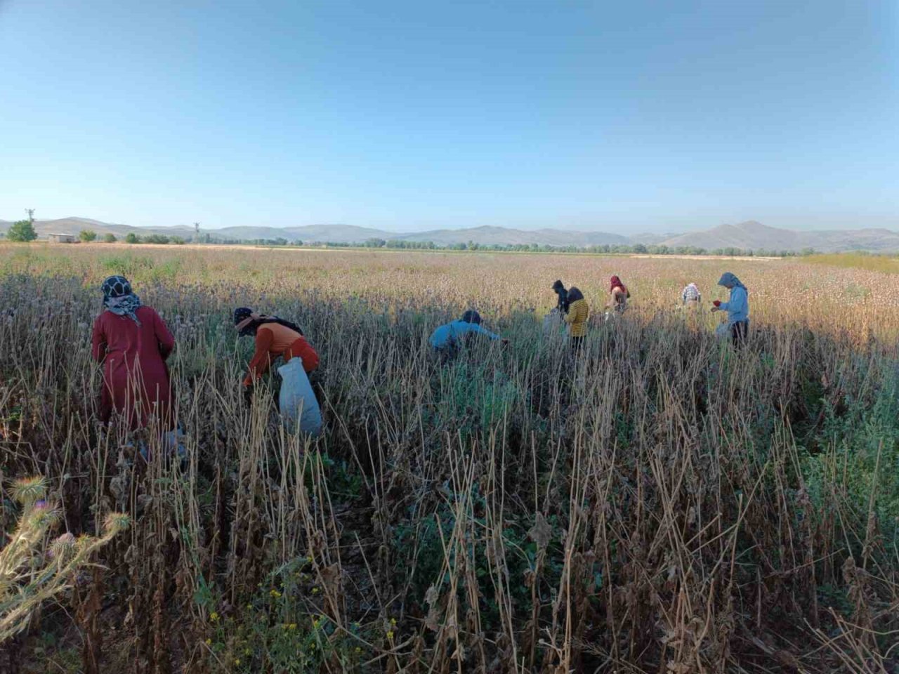 Memleketten uzakta 460 TL yevmiye ile çalışıyorlar