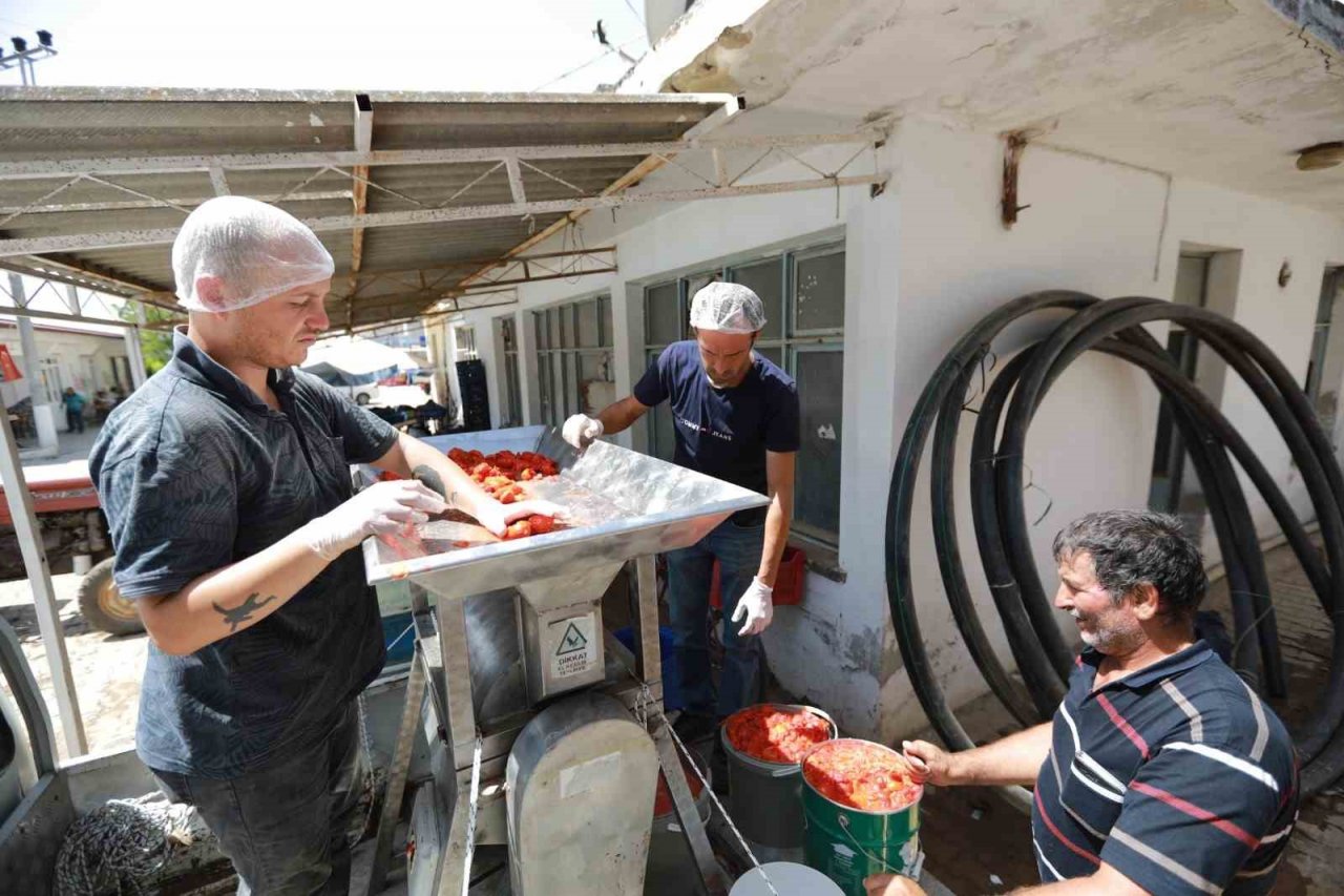 Selçuk’ta domatesten salçaya gelenekselleşen iş birliği