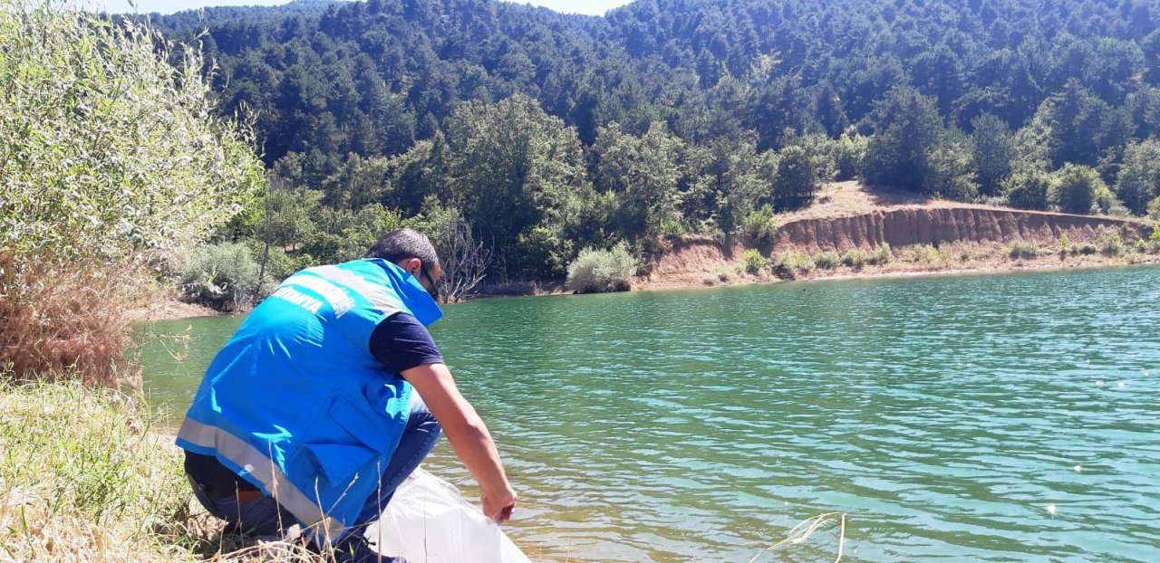 Simav’da 10 gölete 30 bin yavru sazan balığı bırakıldı
