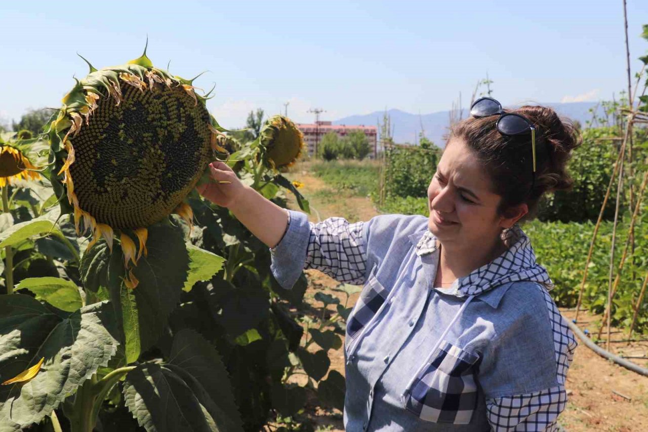 Organamineral gübre ile topraklarımız kurtarılacak