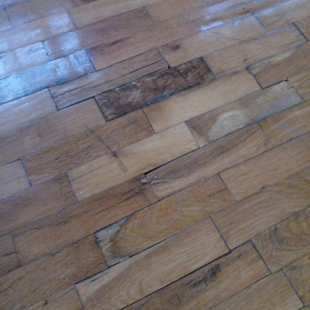 45 yıllık spor salonunun zeminin yenilenmesini bekliyorlar