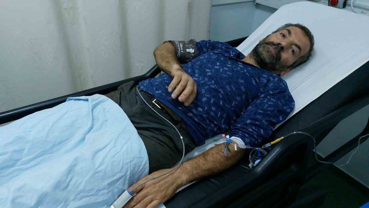 Havalar ısındı, yılan sokmaları arttı