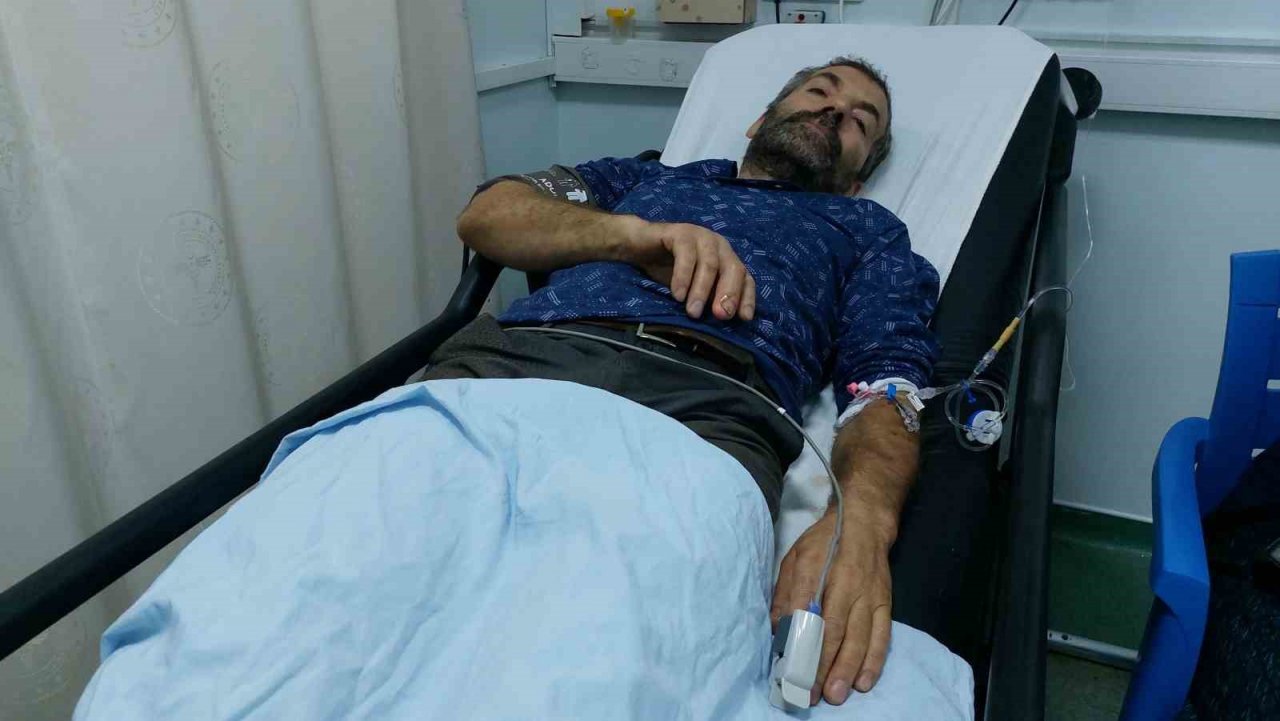 Havalar ısındı, yılan sokmaları arttı