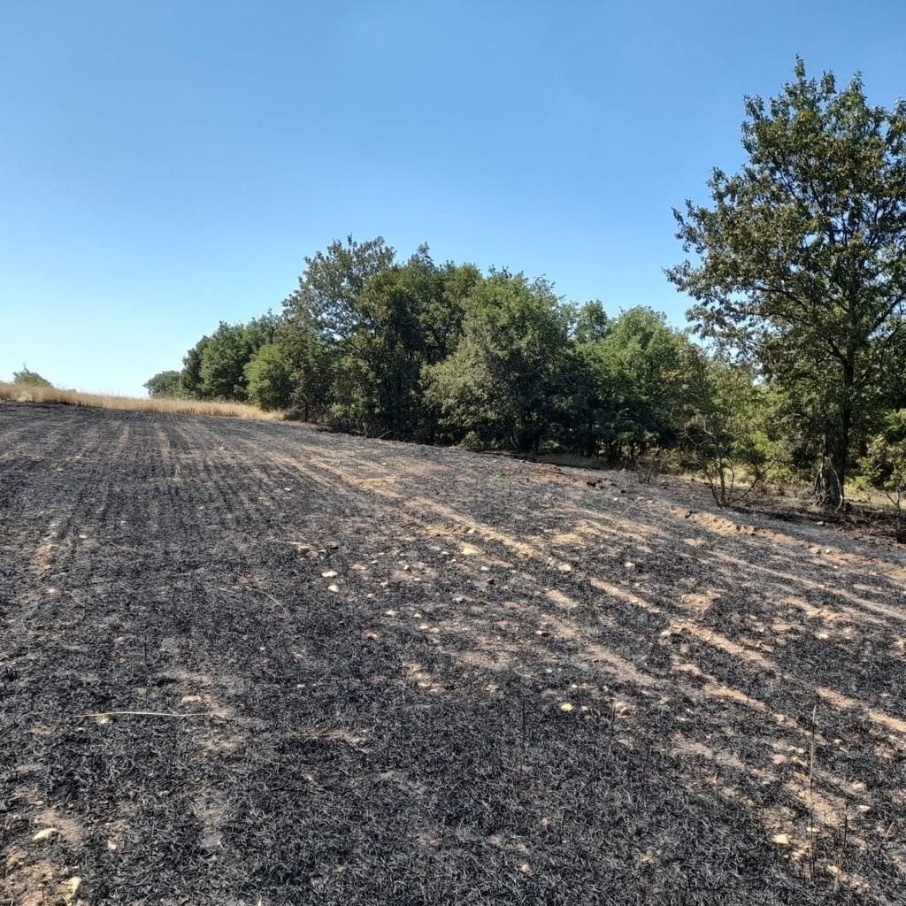 Eskişehir’de 3 farklı noktada orman yangını çıktı