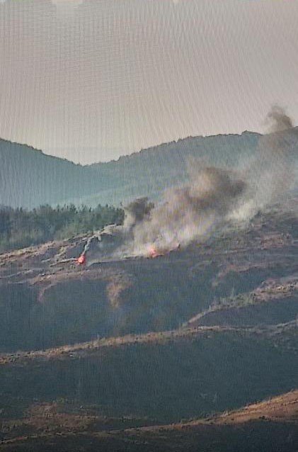 Alev alan iş makinesinden ormana sıçrayan yangın kontrol altına alındı