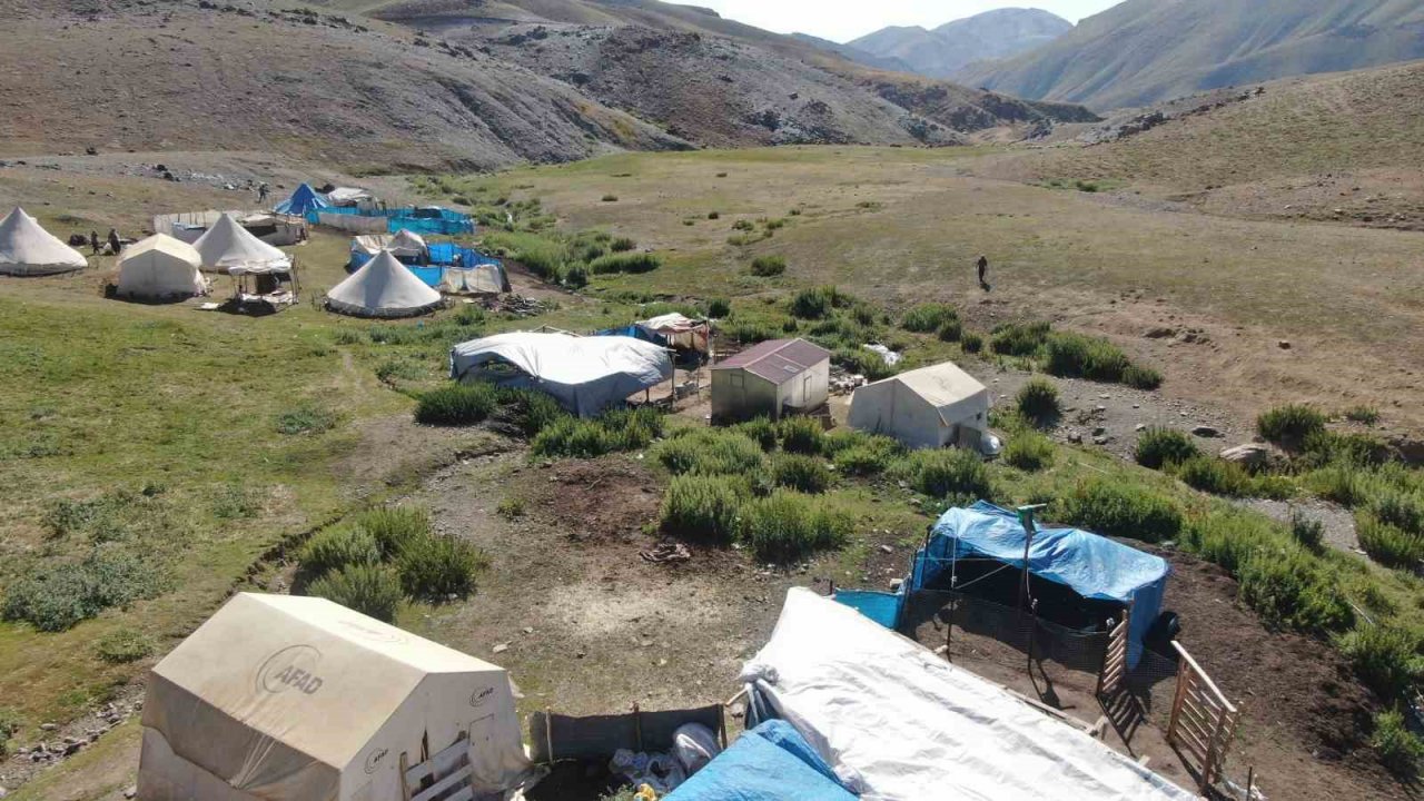 2 bin 500 rakımda ekmek mücadelesi