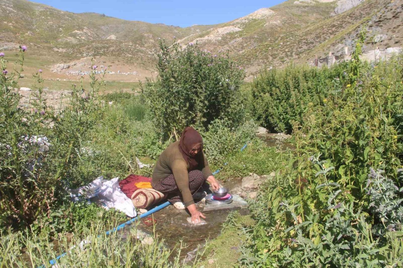 2 bin 500 rakımda ekmek mücadelesi