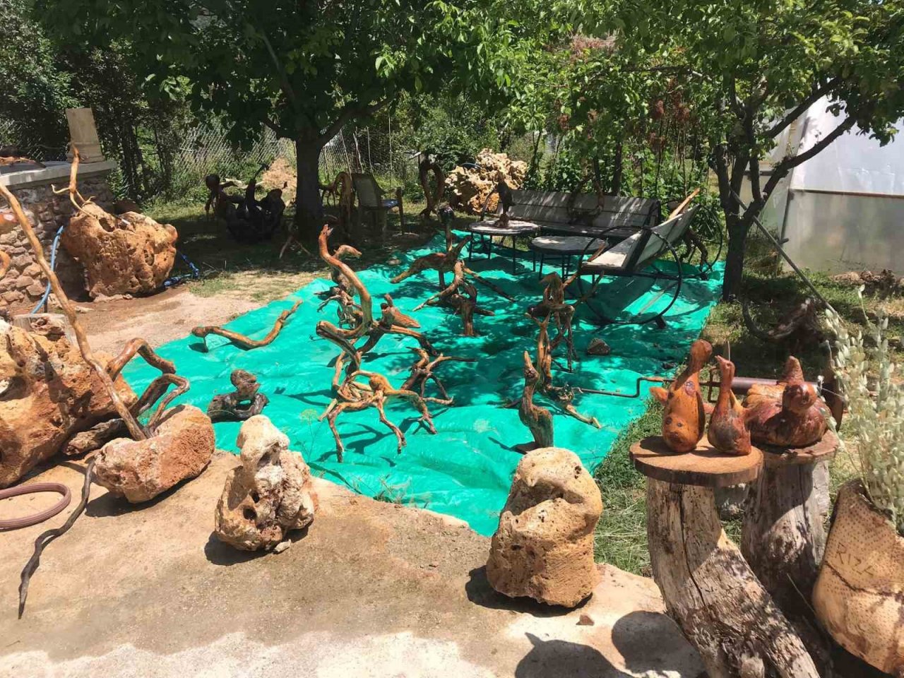 Gümüşhane’de ağaç kökleri usta ellerde sanata dönüşüyor