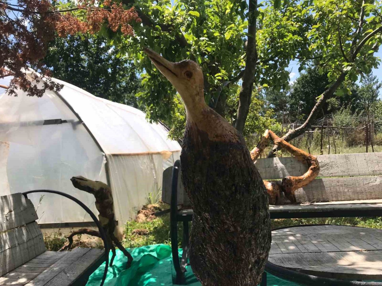 Gümüşhane’de ağaç kökleri usta ellerde sanata dönüşüyor