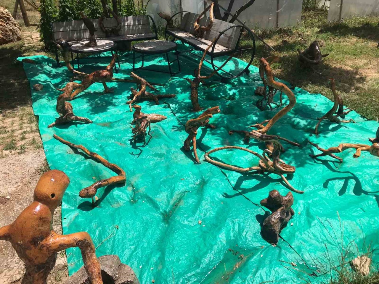 Gümüşhane’de ağaç kökleri usta ellerde sanata dönüşüyor