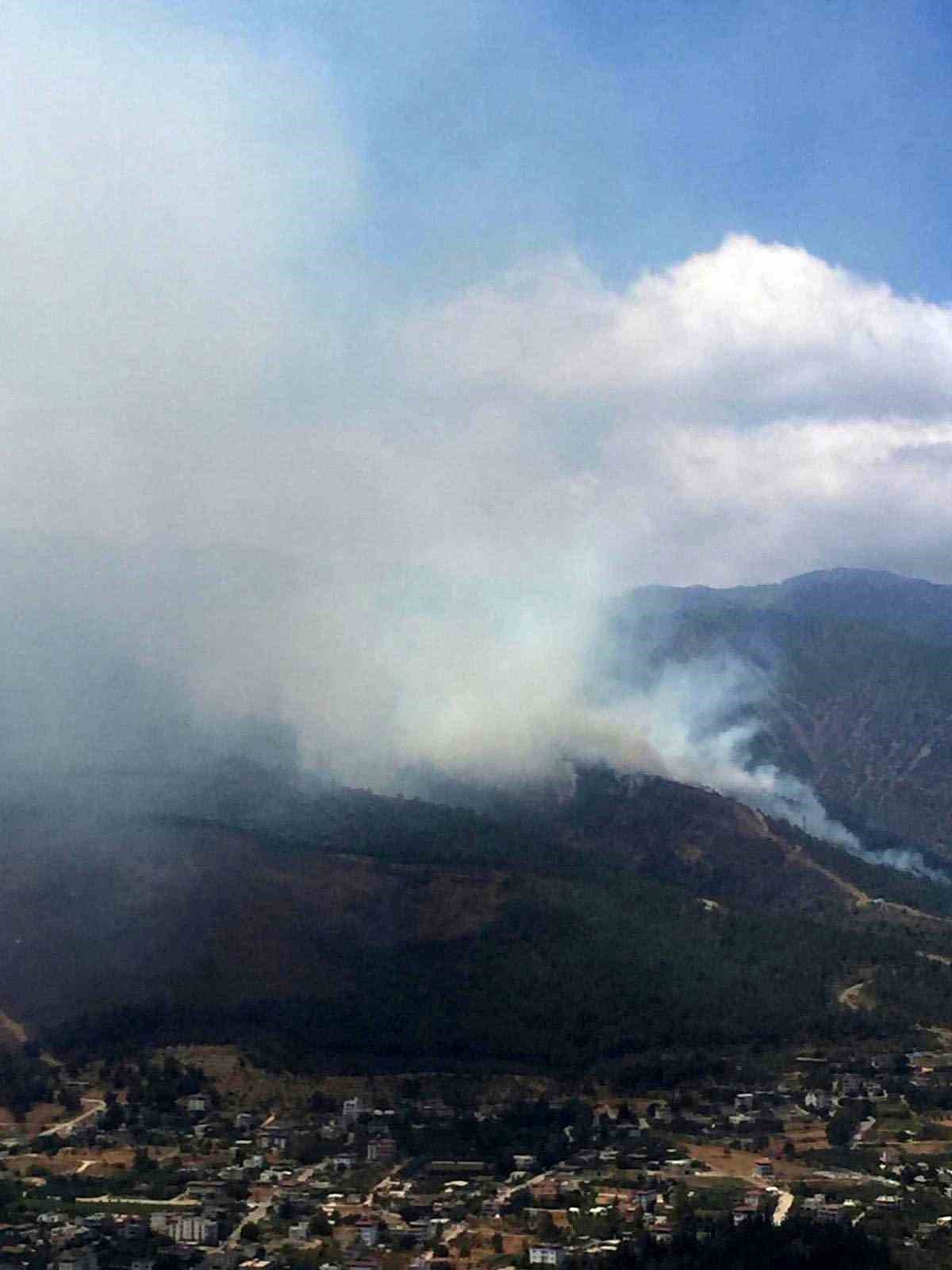 Hatay’da orman yangını
