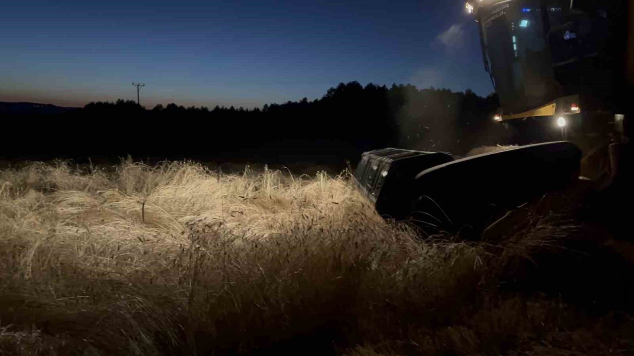 Buğdayın atası ‘siyez’de hasat dönemi başladı