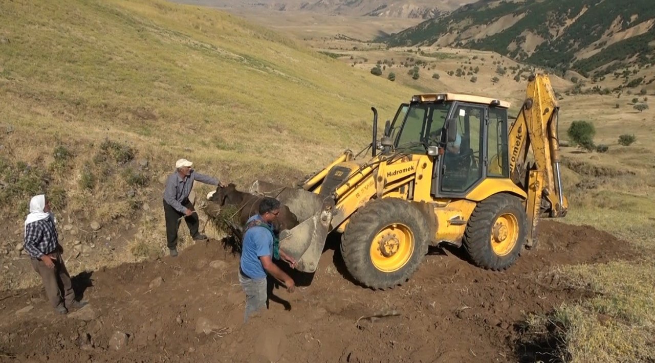 Muş’ta dereye düşen inek iş makinesiyle kurtarıldı