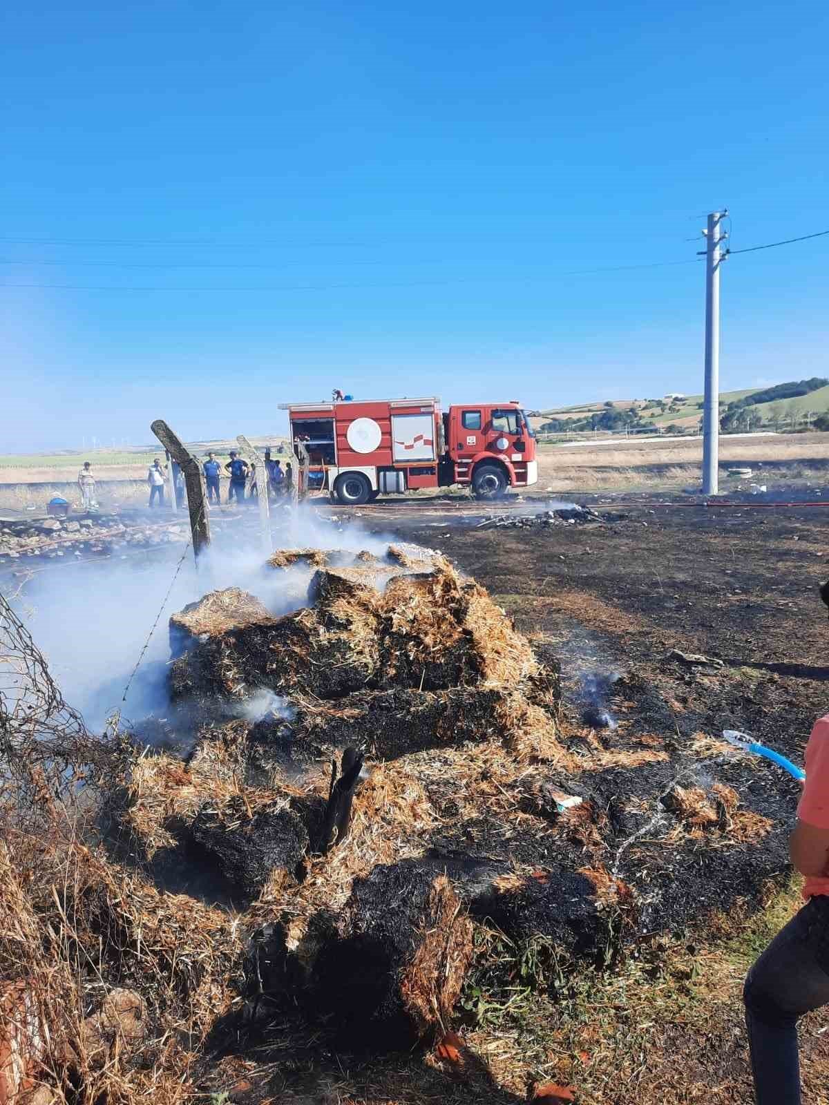 Tarla yangını evlere sıçramadan söndürüldü