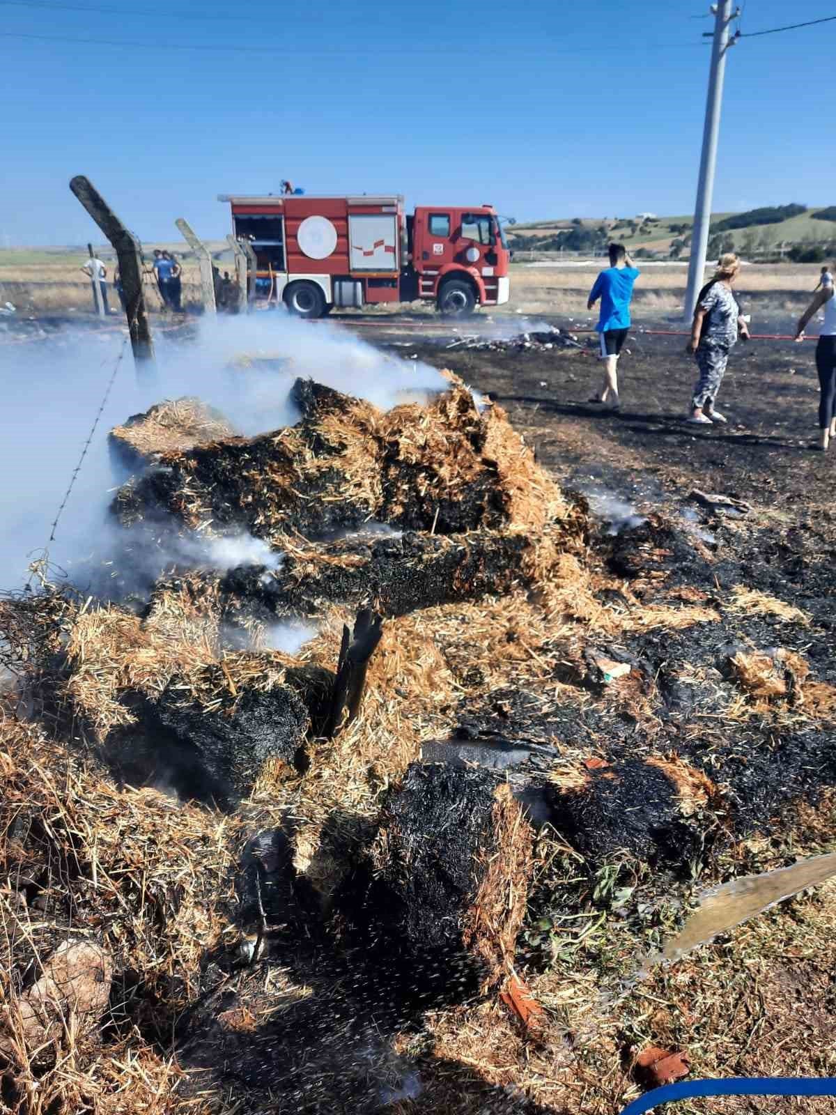 Tarla yangını evlere sıçramadan söndürüldü