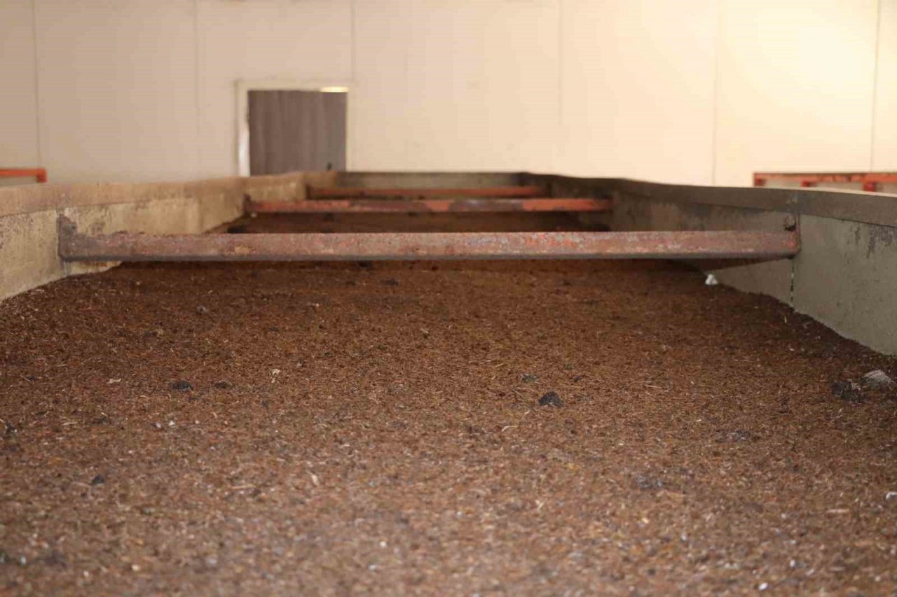 Sivas’ın toprak dostu solucan gübresi Almanya yolcusu