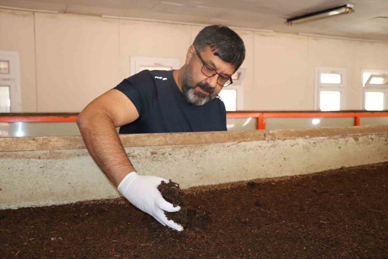 Sivas’ın toprak dostu solucan gübresi Almanya yolcusu