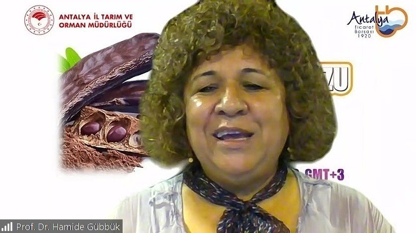 Keçiboynuzu, orman yangınlarının yayılmasına set olabiliyor