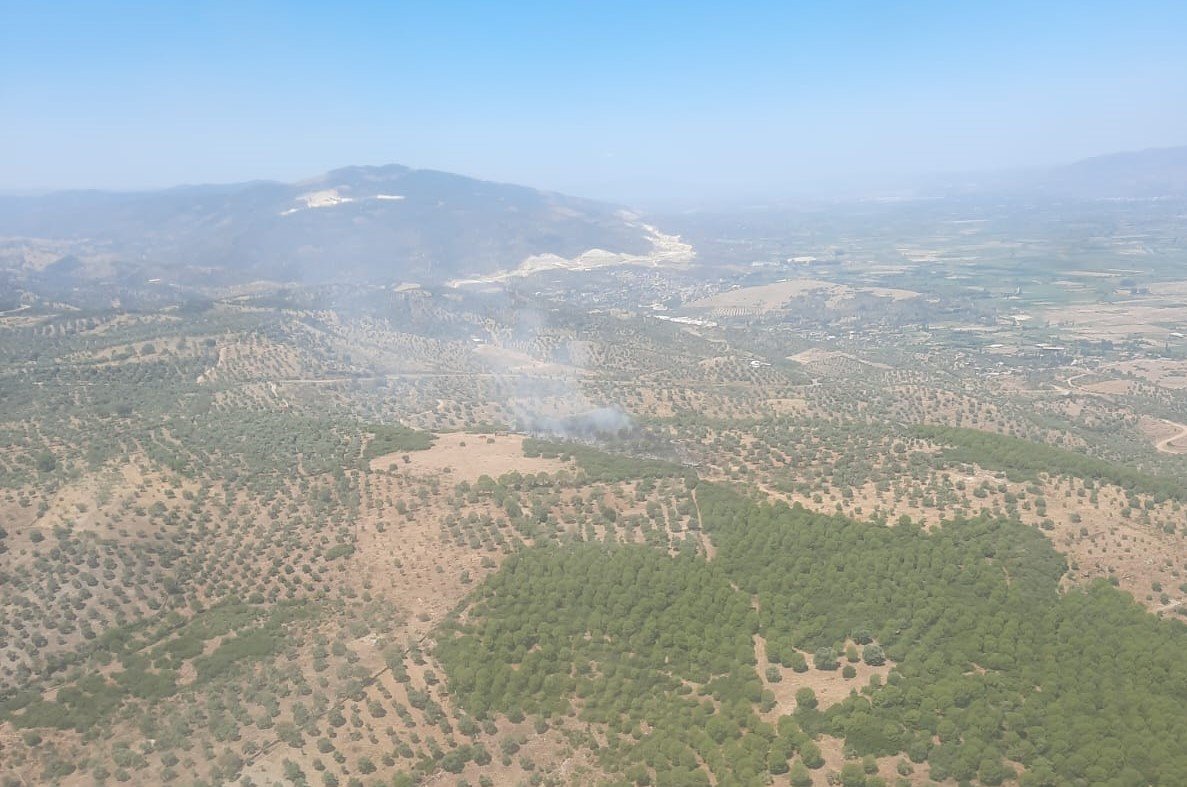 Aydın’daki orman yangını büyümeden söndürüldü