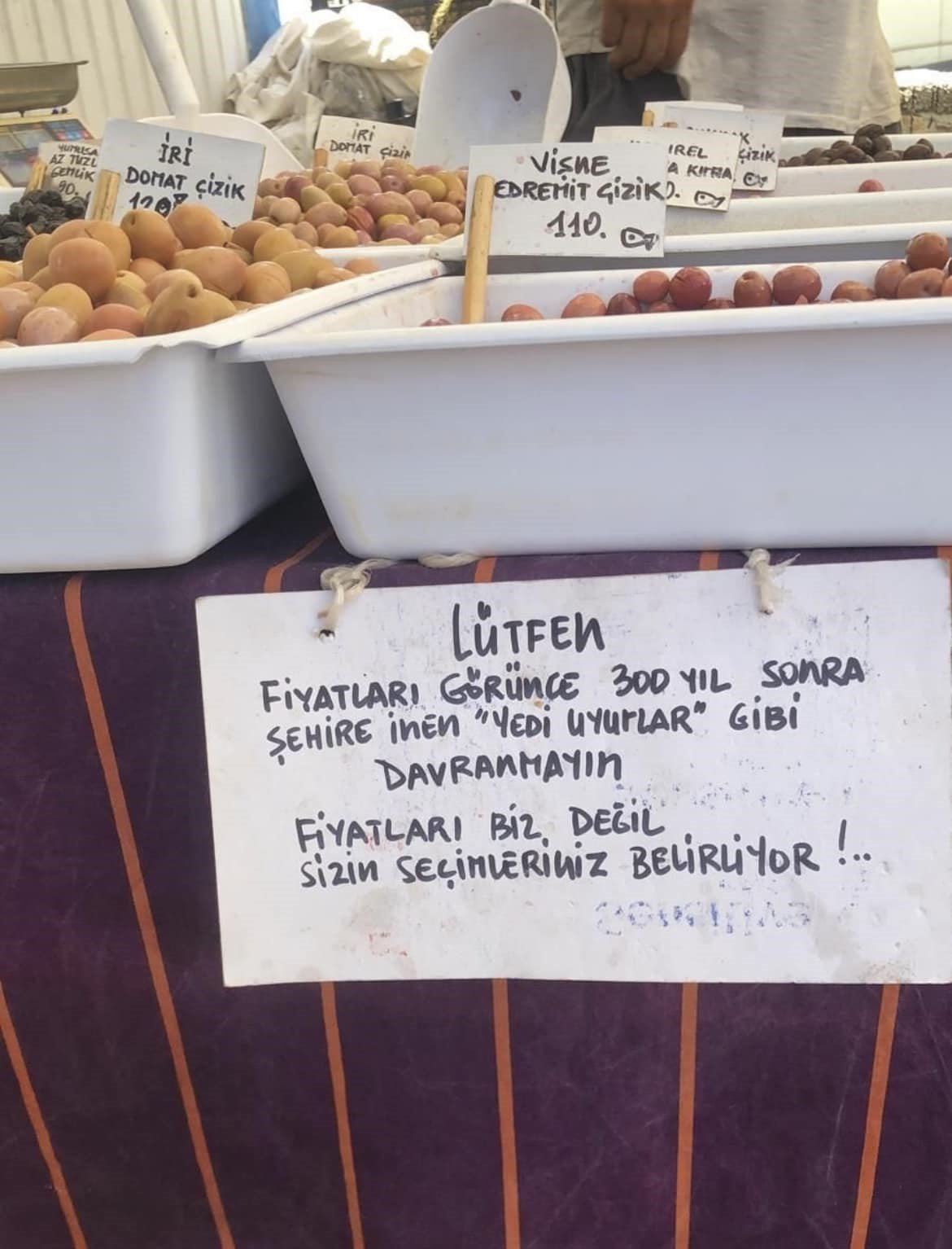 Tedavisi tamamlanan yalıçapkını, özgürlüğe kanat çırptı