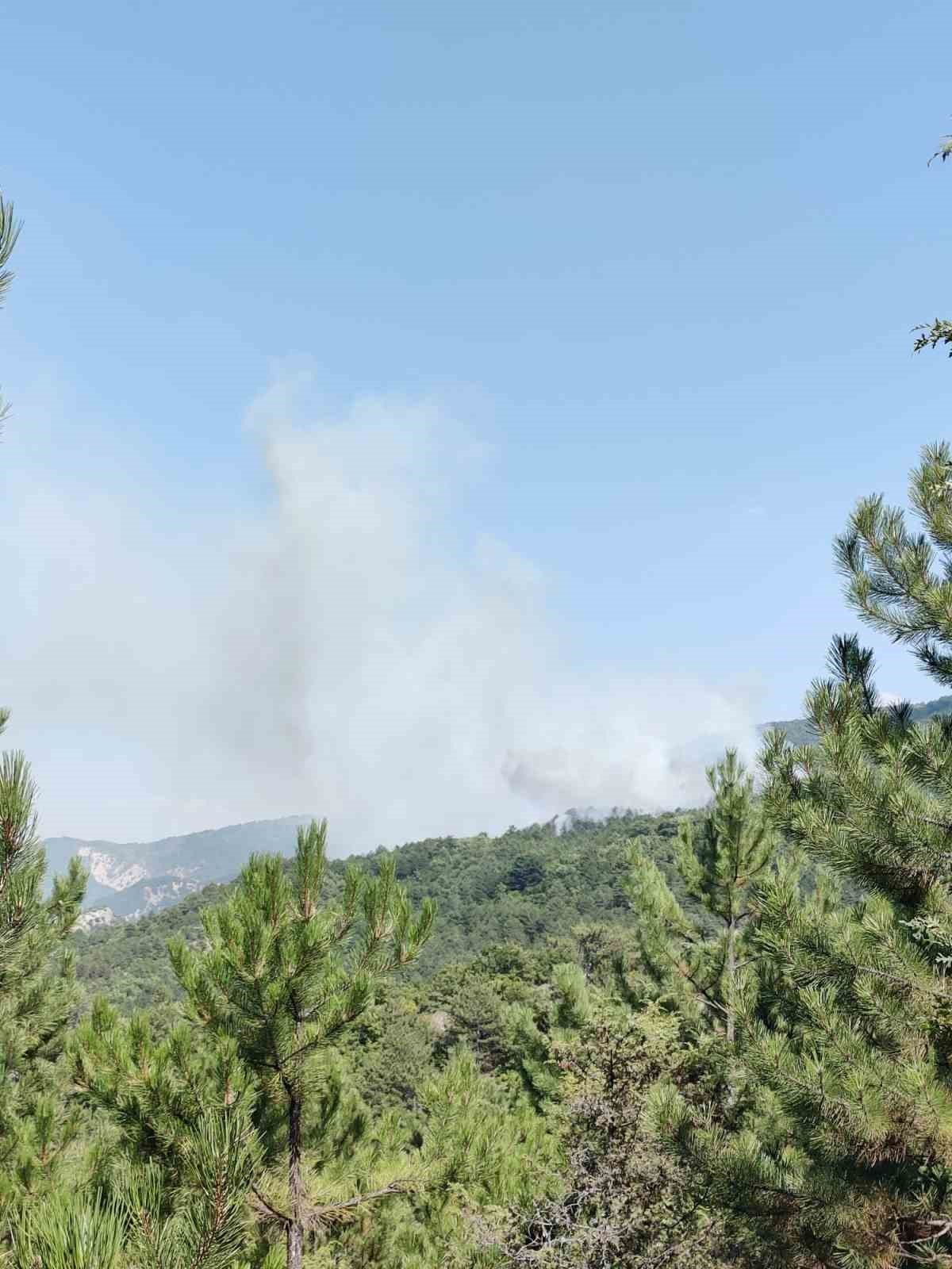 Bilecik’teki orman yangını kontrol altına alındı