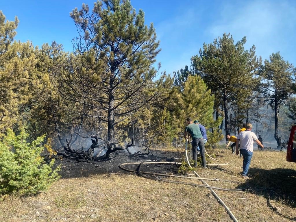 Bolu’da 2 dönümlük orman kül oldu