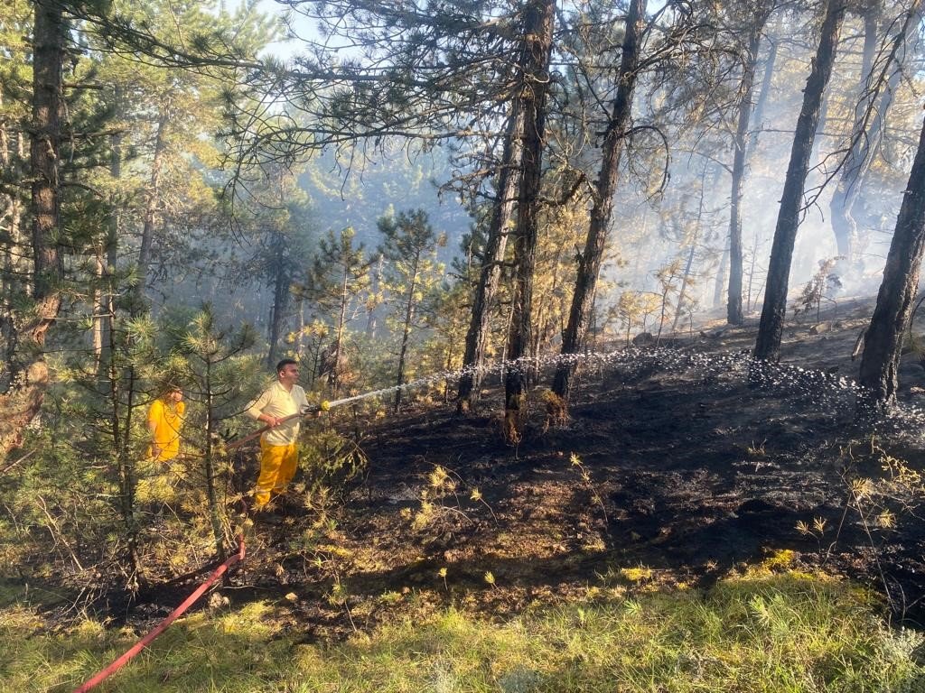 Bolu’da 2 dönümlük orman kül oldu