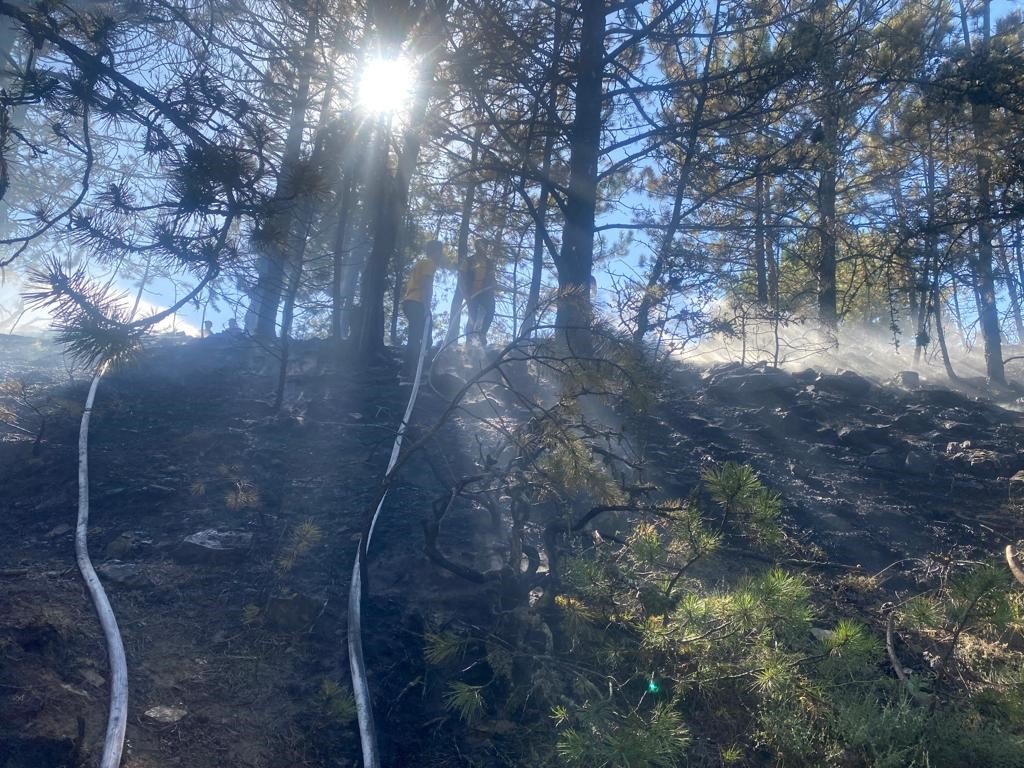 Bolu’da 2 dönümlük orman kül oldu