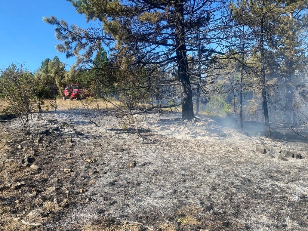 Bolu’da 2 dönümlük orman kül oldu