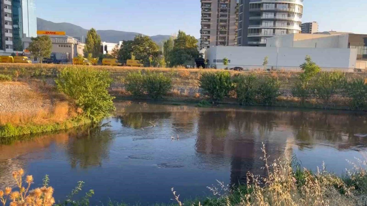 Zehir akan dereyle Bursa ovasını suluyorlar