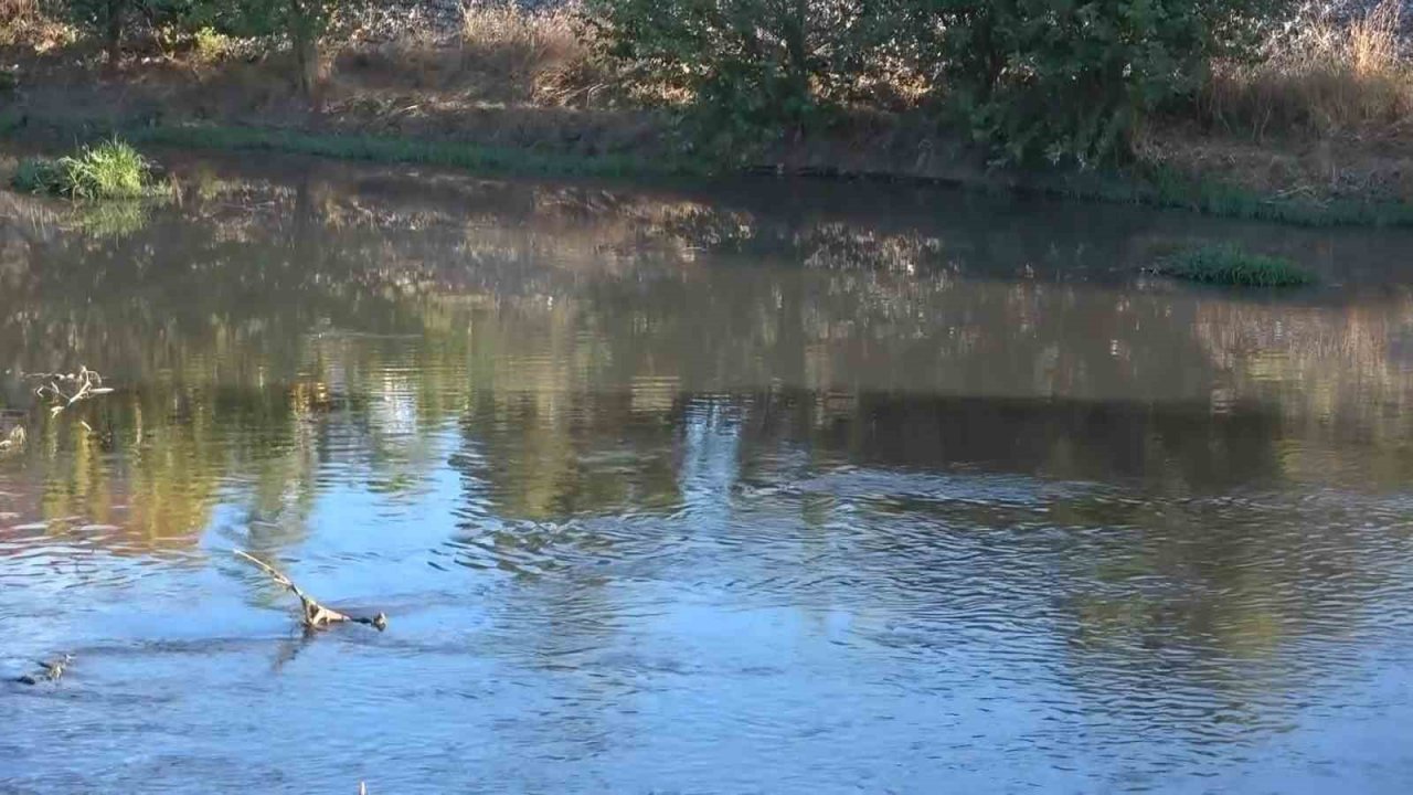 Zehir akan dereyle Bursa ovasını suluyorlar