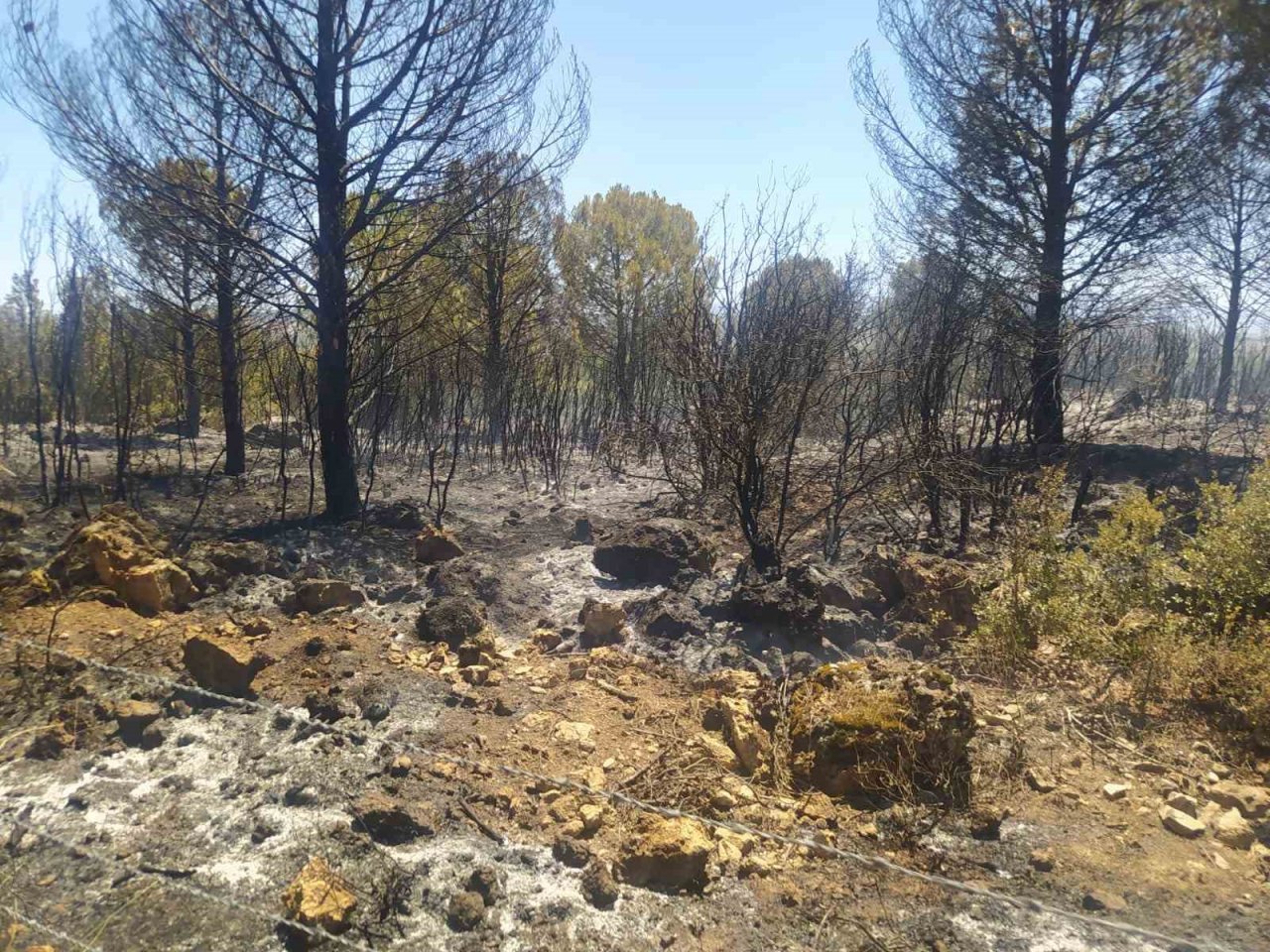 Büyükşehir’in kadın itfaiyecilerinden hızlı müdahale