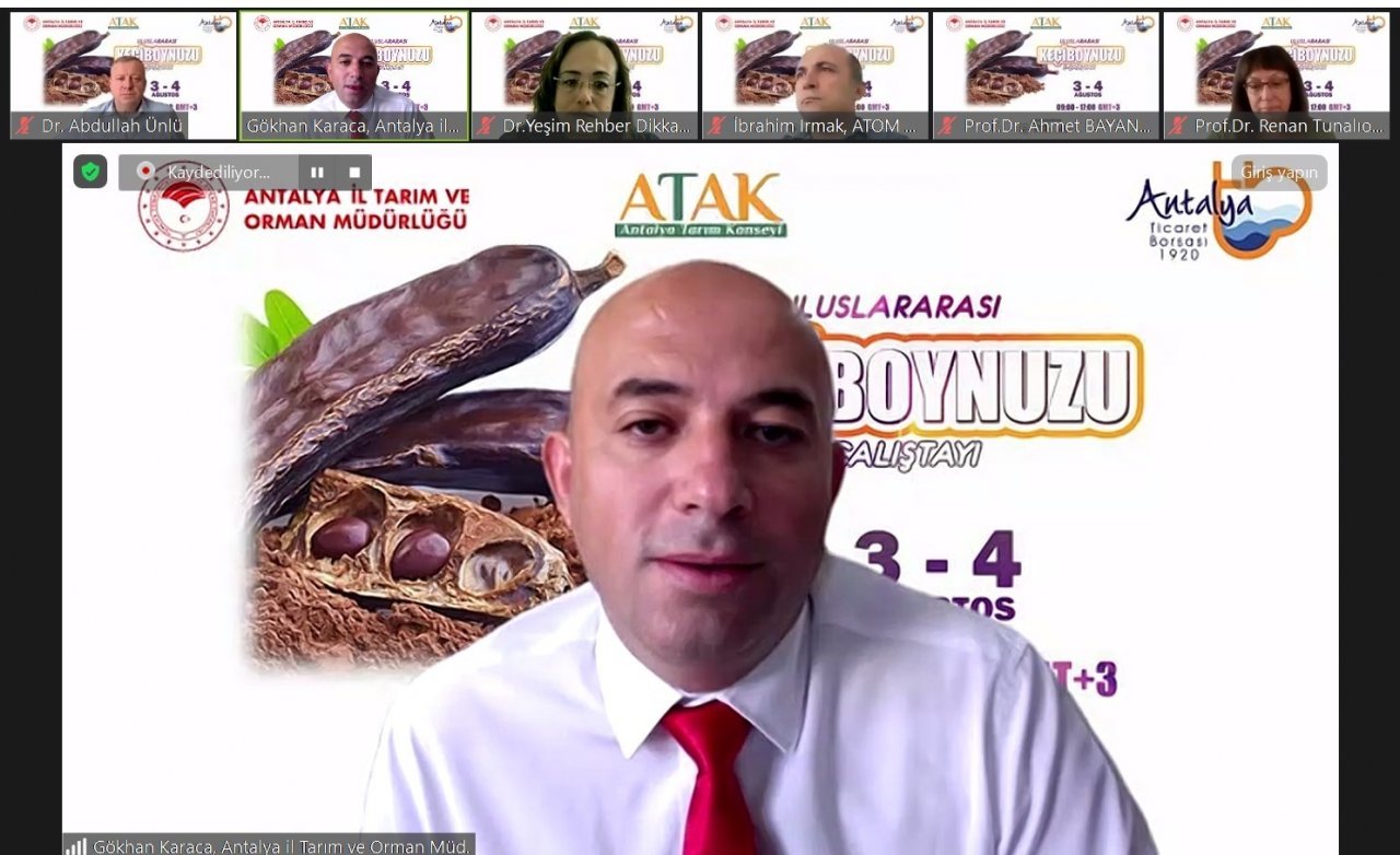 Keçiboynuzu, orman yangınlarının yayılmasına set olabiliyor