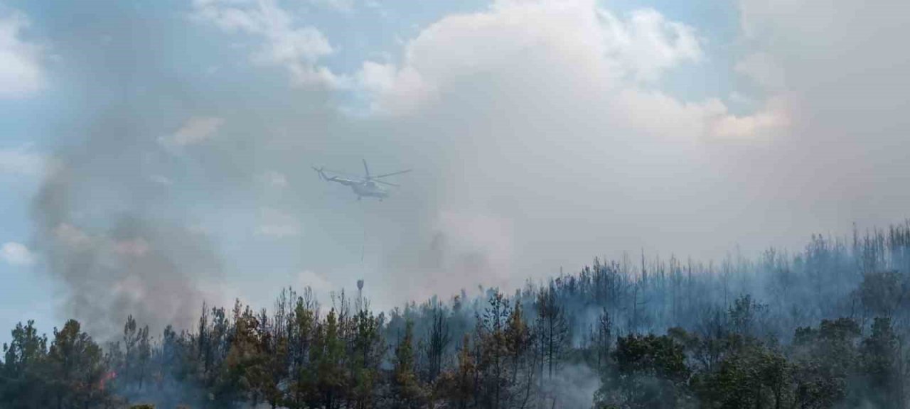 Lapseki’de orman yangını