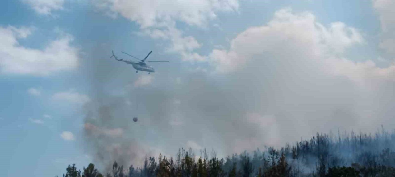 Lapseki’de orman yangını