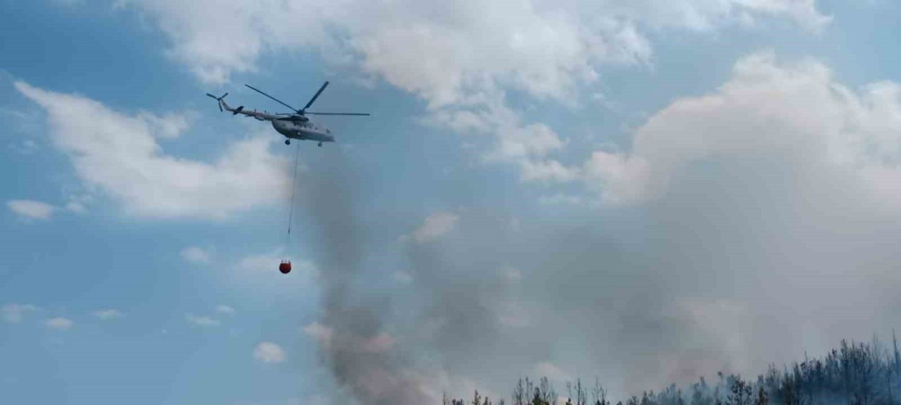 Lapseki’de orman yangını