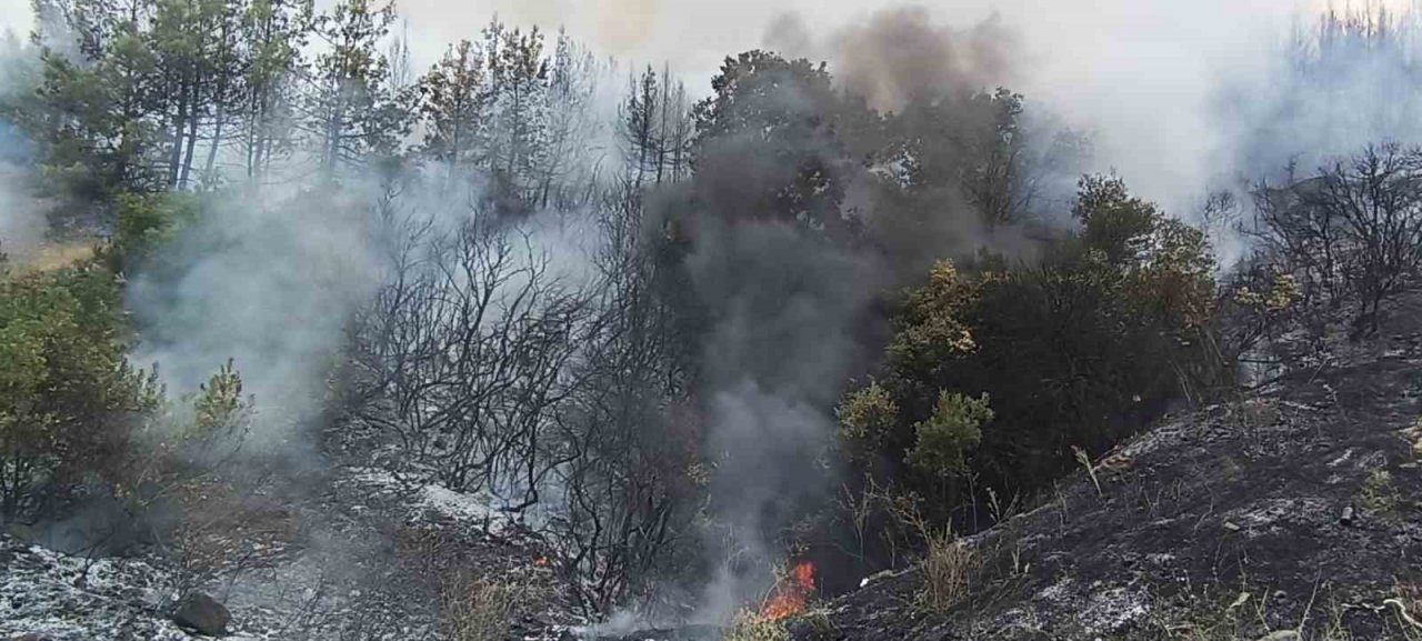 Lapseki’de orman yangını