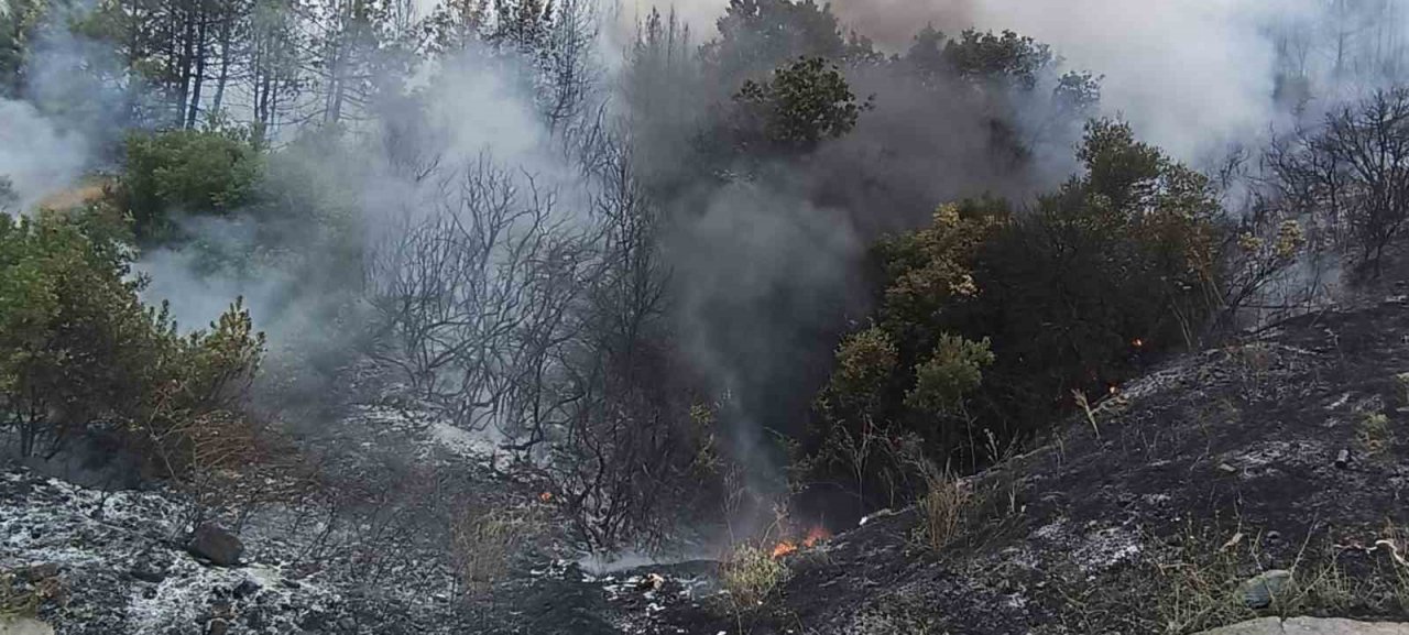 Lapseki’de orman yangını