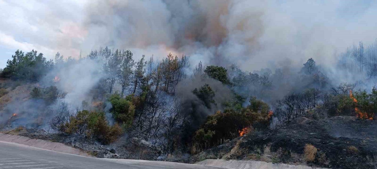Lapseki’de orman yangını
