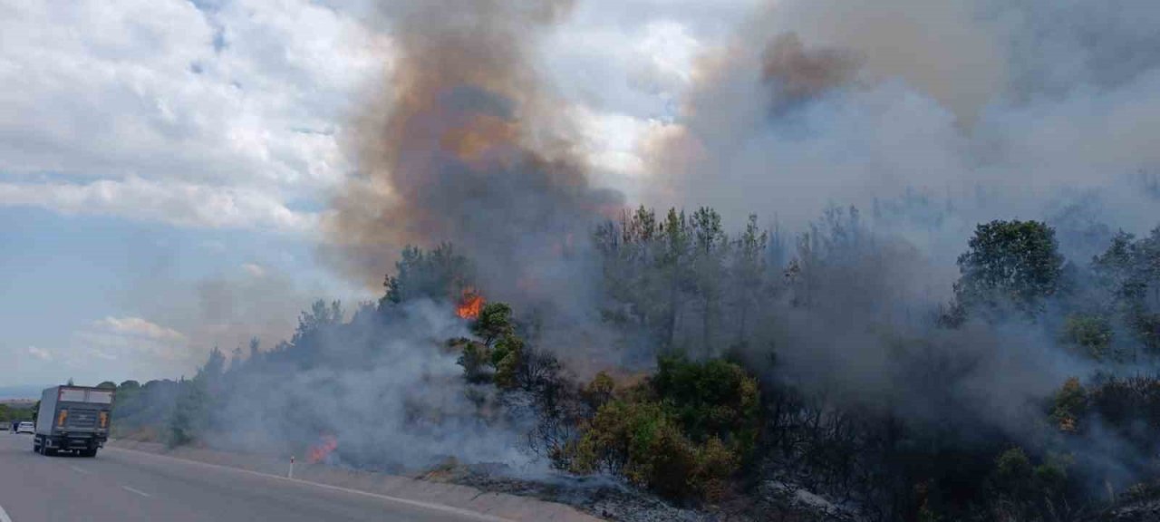 Lapseki’de orman yangını