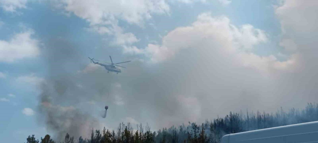 Lapseki’de orman yangını