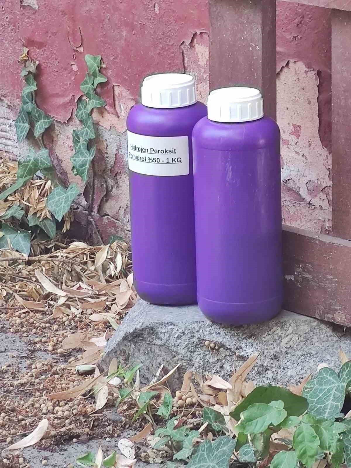 Eyüpsultan’da kedilere asit dökerek zarar veren şüphelinin cezası belli oldu